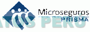 MICROSEGUROS PRISMA