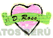 D.ROSE