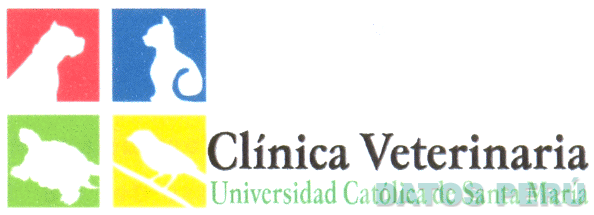 CLINICA VETERINARIA UNIVERSIDAD CATOLICA DE SANTA MARIA
