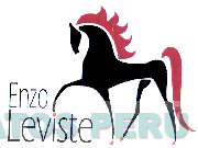 ENZO LEVISTE