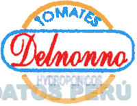 DELNONNO TOMATES HYDROPONICOS