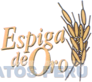 ESPIGA DE ORO
