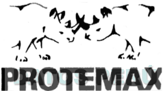 PROTEMAX
