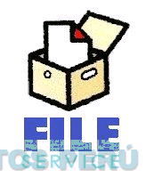 FILE SERVICE