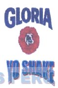 GLORIA YO SHAKE