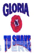 GLORIA TU SHAKE