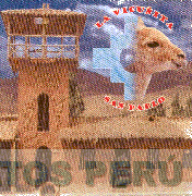 LA VICUÑITA SAN PABLO