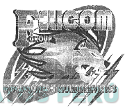 FELICOM GROUP INVERSIONES Y MULTISERVICIOS
