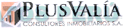 PLUSVALIA CONSULTORES INMOBILIARIOS S.A.