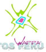 WAPPA TOQUE DE MUJER