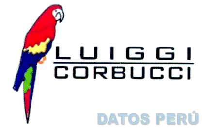 LUIGGI CORBUCCI