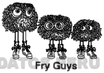 FRY GUYS