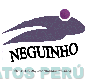NEGUINHO DE: RUBEN ROGELIO MAMANI CHIPANA