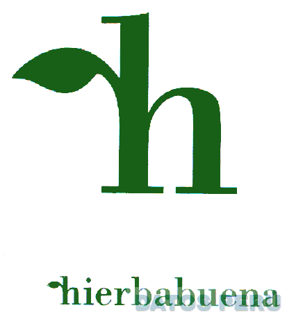 H HIERBABUENA