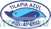 TILAPIA AZUL AQUAPERU