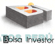 BI BOLSA INVESTOR