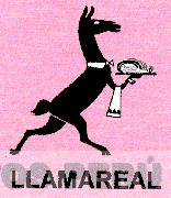 LLAMAREAL