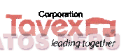 T TAVEX CORPORATION LEADING TOGETHER