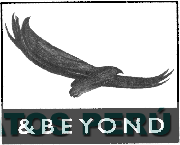 & BEYOND