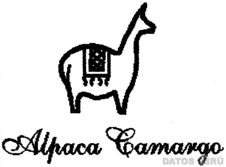 ALPACA CAMARGO