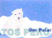 OSO POLAR