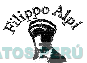 FILIPPO ALPI