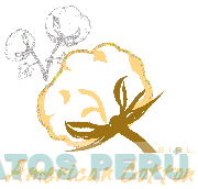 AMERICAN COTTON E.I.R.L.