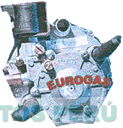 EUROGAS