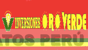V INVERSIONES ORO VERDE