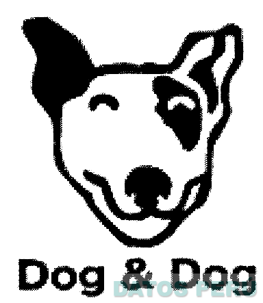 DOG & DOG