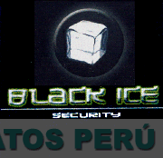 BLACK ICE SECURITY