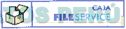 CAJA FILE SERVICE