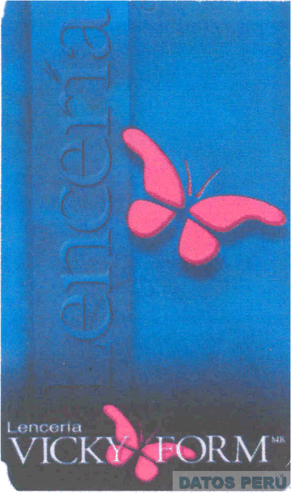 LENCERIA VICKY FORM
