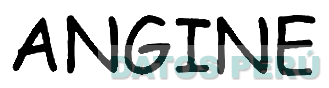 ANGINE