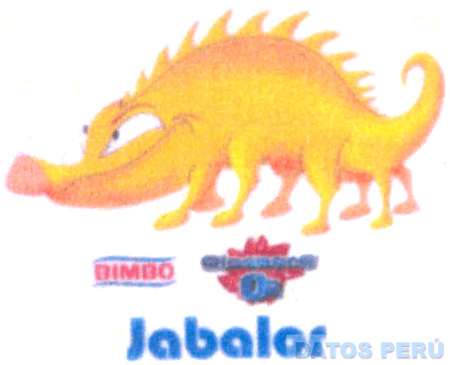 BIMBO OLOCOONS O2 JABALOR