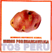 MOVIMIENTO INDEPENDIENTE REGIONAL UNIDOS POR HUANCAVELICA