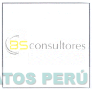 BS CONSULTORES