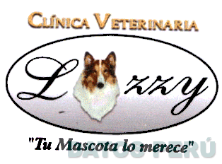 CLINICA VETERINARIA LAZZY TU MASCOTA LO MERECE