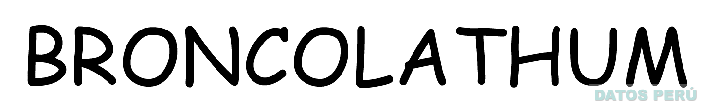 BRONCOLATHUM