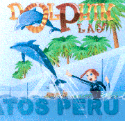 DOLPHIN PLAY