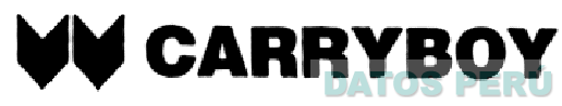 CARRYBOY