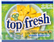 TOP FRESH FRUIT PUNCH GRUPO TORVISCO
