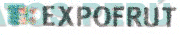 EXPOFRUT