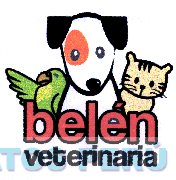 BELEN VETERINARIA