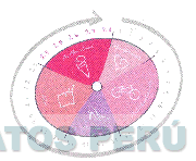 MENSTRUACION POST MENSTRUACIÓN OVULACIÓN LUTEA Y PRE MENSTRUAL