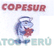 COPESUR