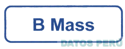 B MASS