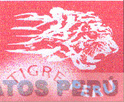TIGRE PERU