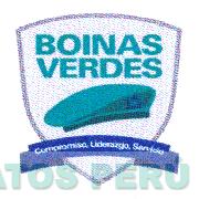 BOINAS VERDES COMPROMISO, LIDERAZGO, SERVICIO