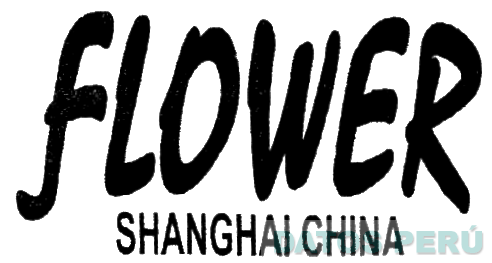 FLOWER SHANGHAI CHINA